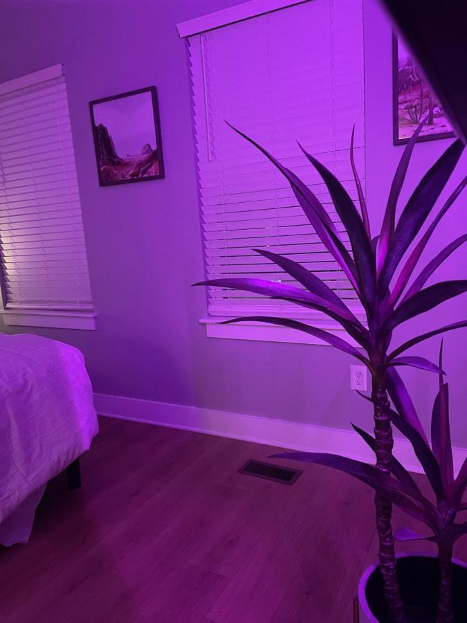 Classy, Cozy, Close To Downtown ナッシュビル エクステリア 写真